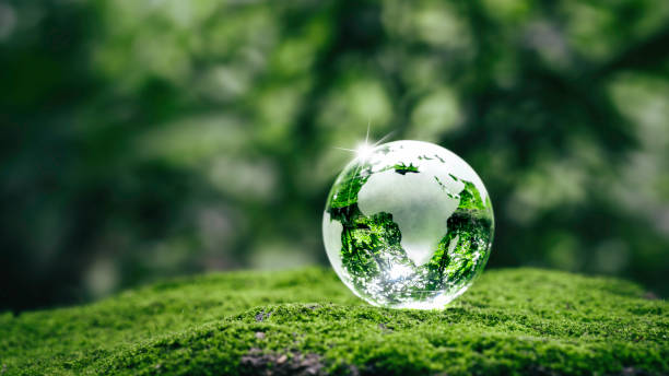 environment